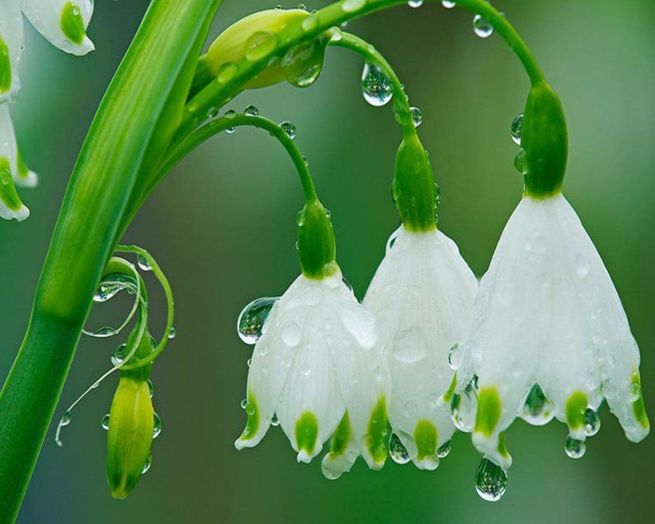 Little Explorers It S Raining It S Pouring